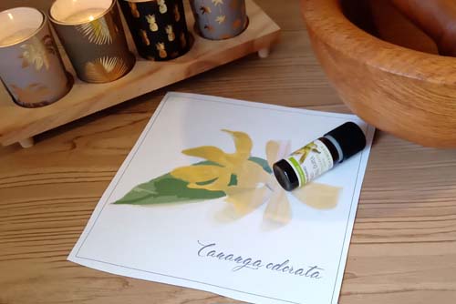 huile essentielle d'Ylang ylang