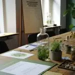 Atelier Jeux - Ateliers bien-être entreprise - photo 02